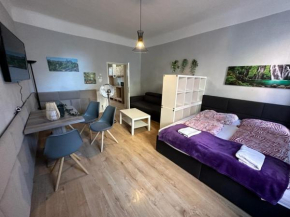 Beautiful 1BR Apt Comfortable Design - Central Located